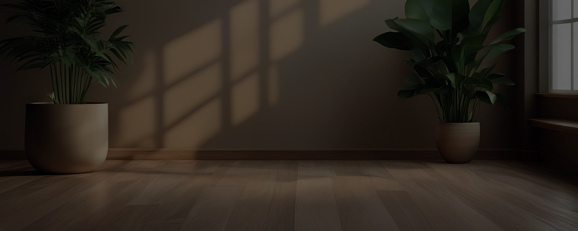 hardwood flooring with late afternoon sun